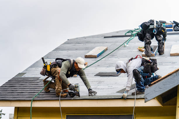 Professional Roofing technician working in Northbridge, MA